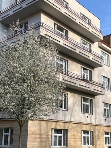 Apartma V Srdci Podebrad Podebrady Luaran gambar